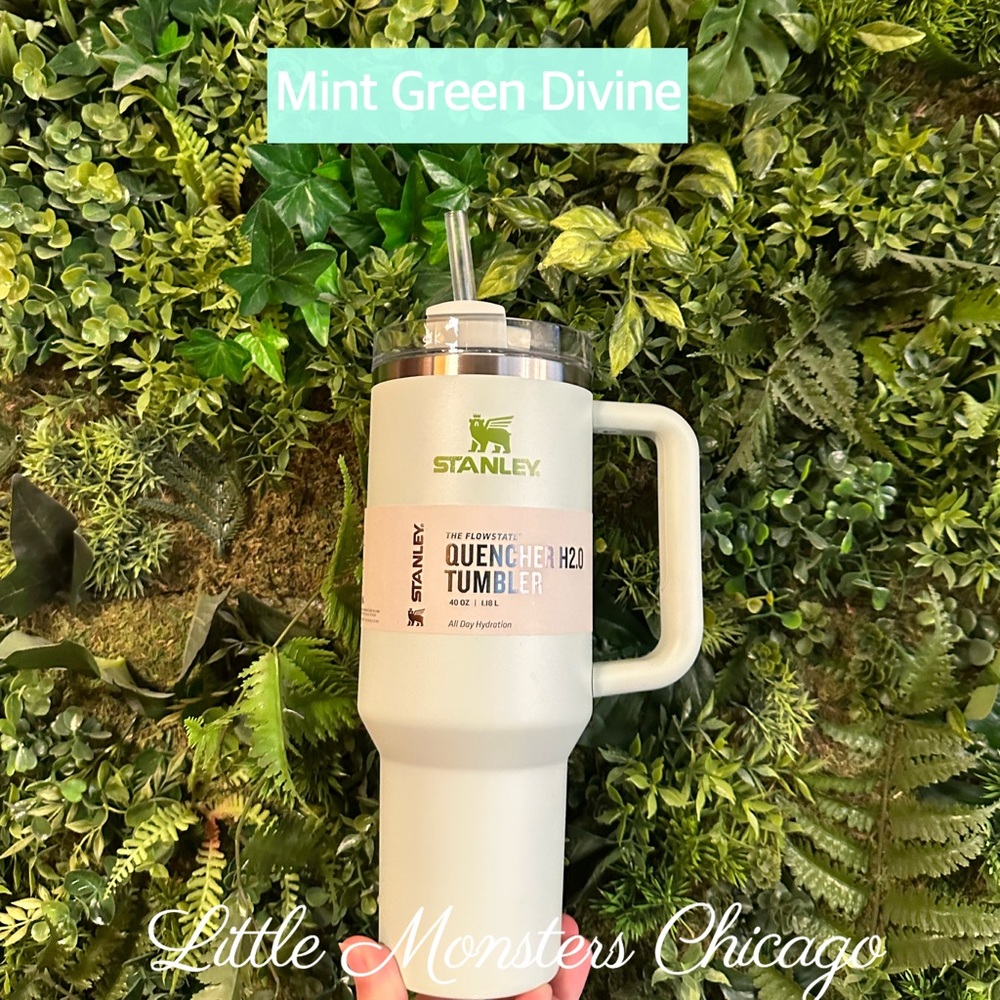 STANLEY X DANI AUSTIN QUENCHER H2.0 FLOWSTATE™ TUMBLER | 40 OZ | all tags